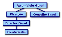 Organigrama